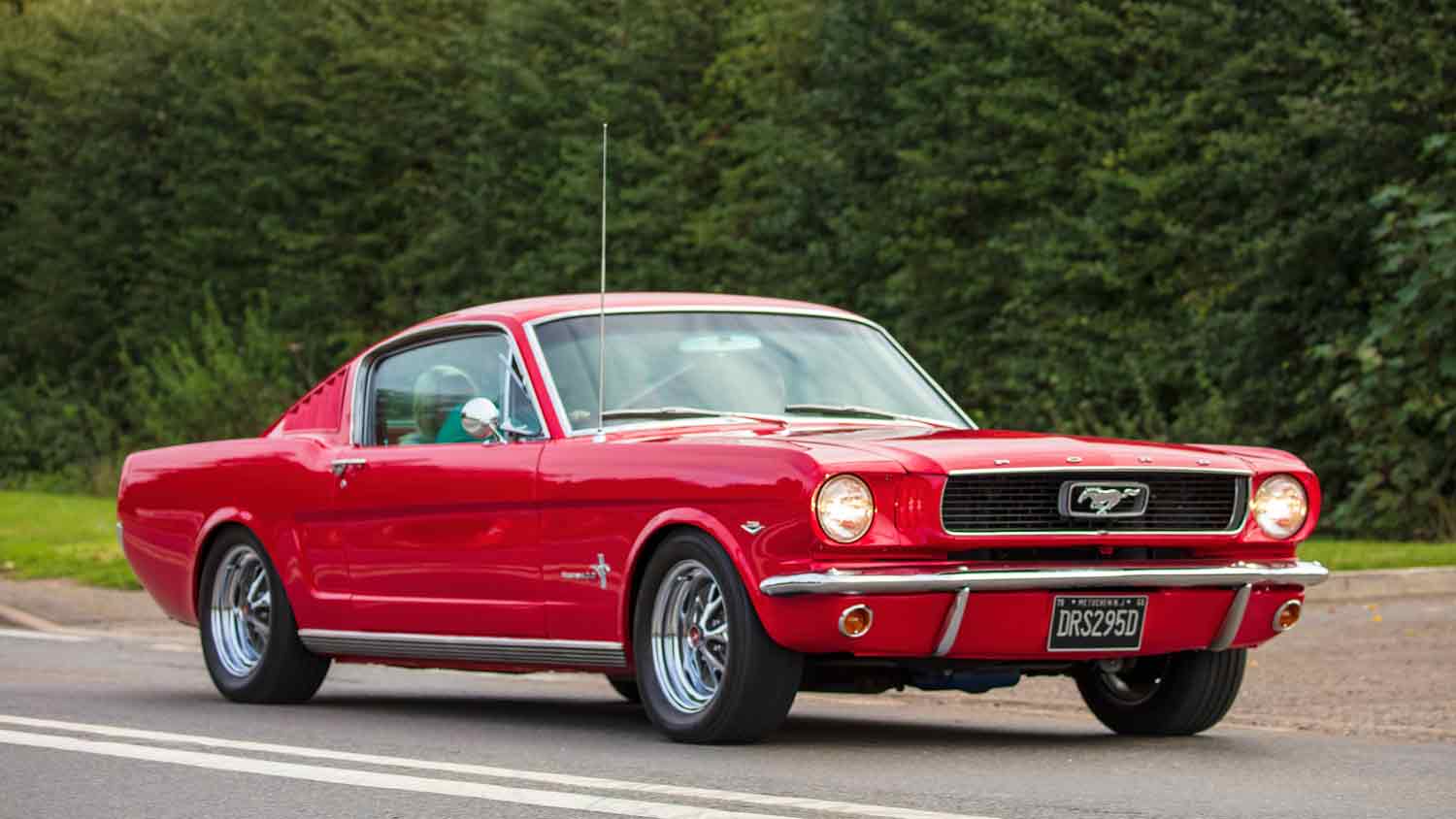 ford mustang sports car